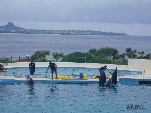 『海洋博公園』海豚劇場-暖身