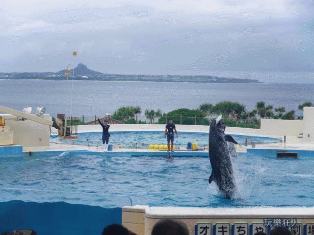 『海洋博公園』海豚劇場-深水炸彈