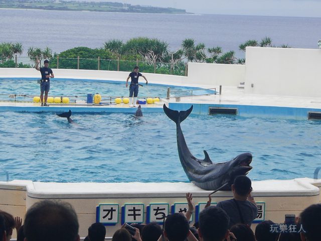 『海洋博公園』海豚劇場-道別