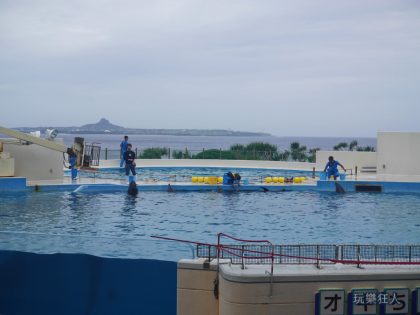 『海洋博公園』海豚接觸體驗-表演場地