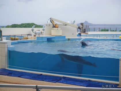 『海洋博公園』海豚接觸體驗-表演場地