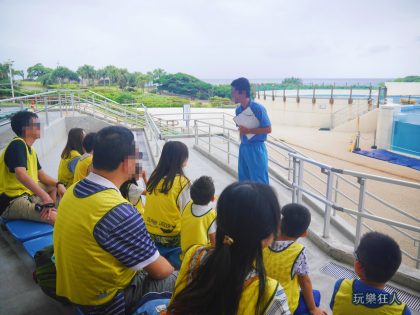 『海洋博公園』海豚接觸體驗-活動說明