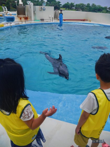 『海洋博公園』海豚接觸體驗-偽海豚訓練員 vs 海豚