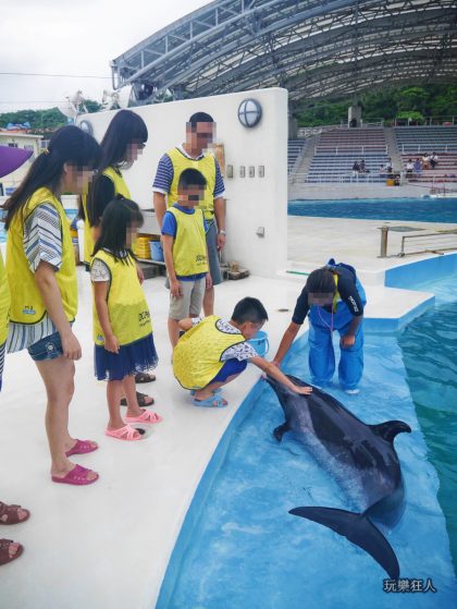 『海洋博公園』海豚接觸體驗-觸摸海豚