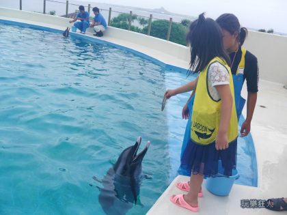 『海洋博公園』海豚接觸體驗-餵食海豚