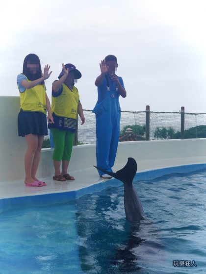 『海洋博公園』海豚接觸體驗-指揮海豚揮手
