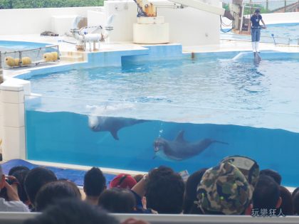 『海洋博公園』海豚劇場-氣孔吐氣