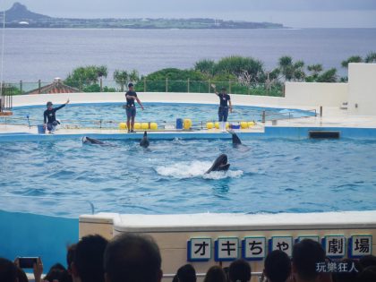 『海洋博公園』海豚劇場-露齒