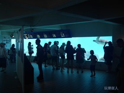 『海洋博公園』海龜館-水下觀察室