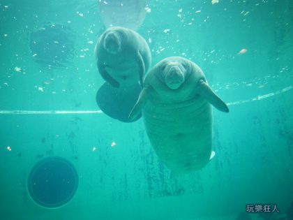 『海洋博公園』海牛館-海牛