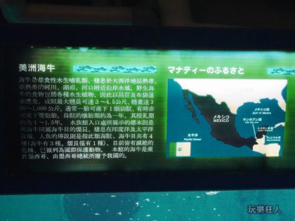 『海洋博公園』海牛館-海牛資料