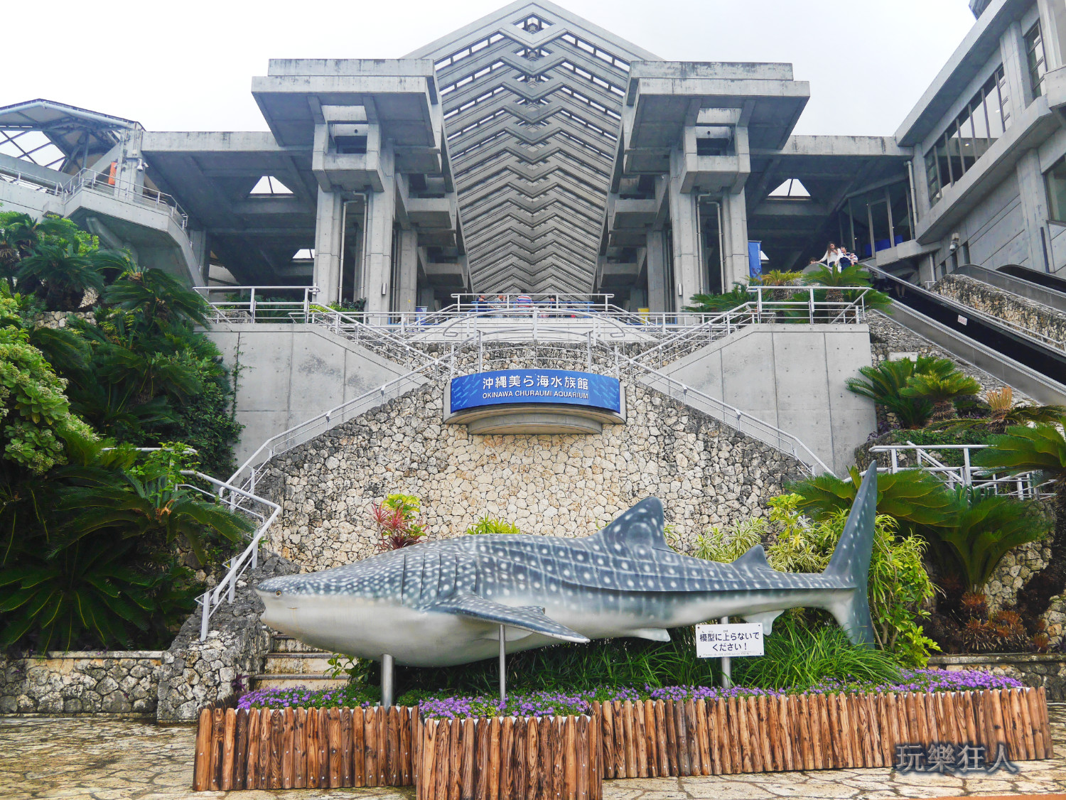 『海洋博公園』沖繩美麗海水族館